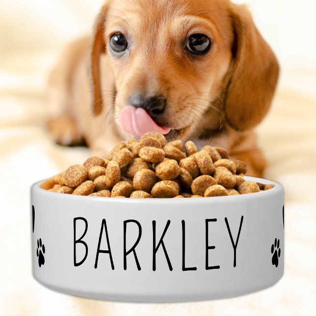 Écuelle Chien simple animal de compagnie Alimentation pers (Créateur téléchargé)