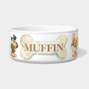 Écuelle Chiens bien habillés Corgi Carlin Dachshund Sheepd