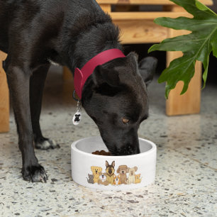 Écuelle Chiens et chats JollyKins