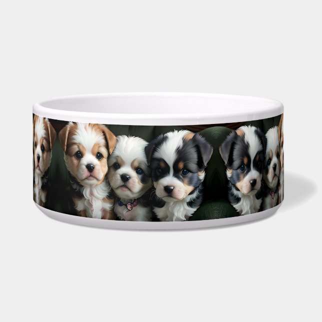 Écuelle Chiots super mignons sur le canapé 2 (Devant)