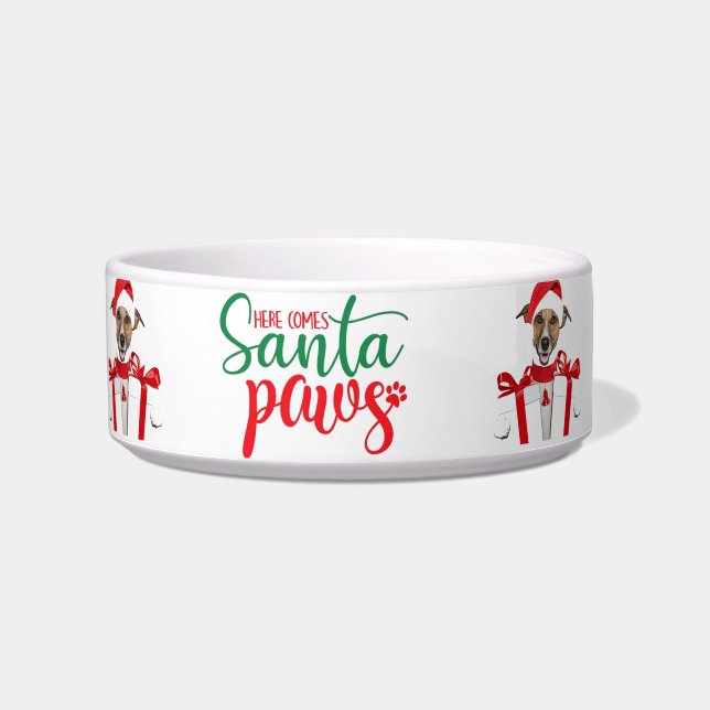 Écuelle Christmas Dog Bowl (Devant)