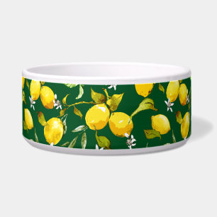 Écuelle citrons d'aquarelle 9