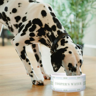Écuelle Classic Blue Green Plaid Pattern Name Dog Water