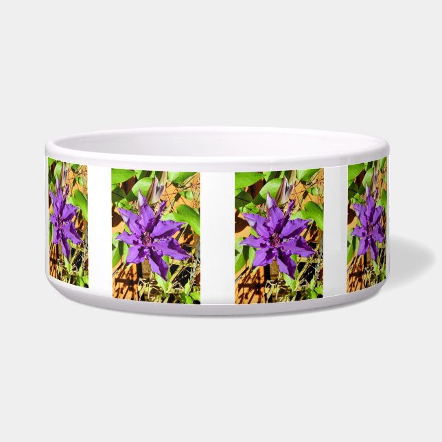ÉCUELLE CLEMATIS (Devant)