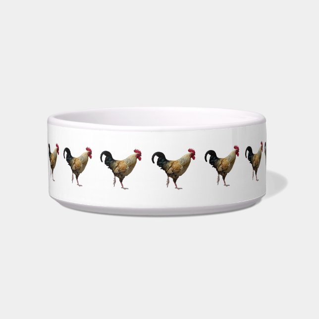 Écuelle Cocoster Pet Bowl (Devant)
