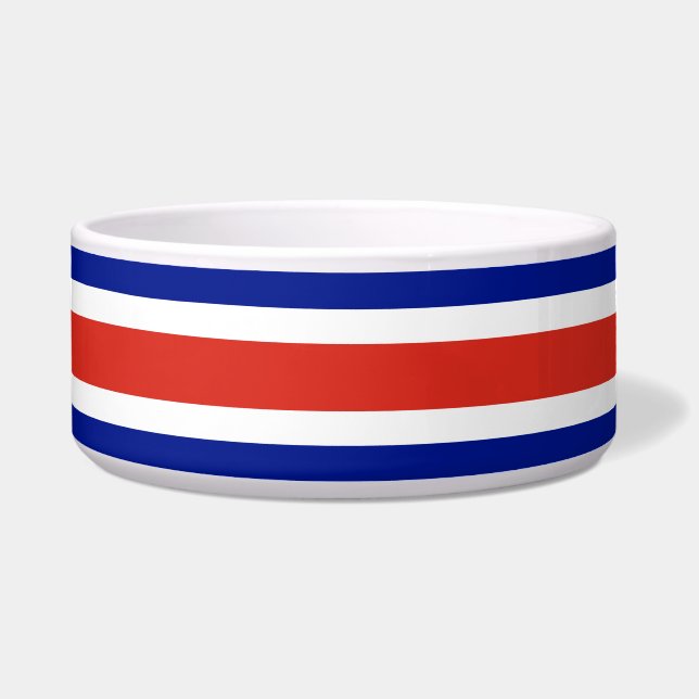 Écuelle Costa Rica Drapeau pour animaux domestiques (Devant)