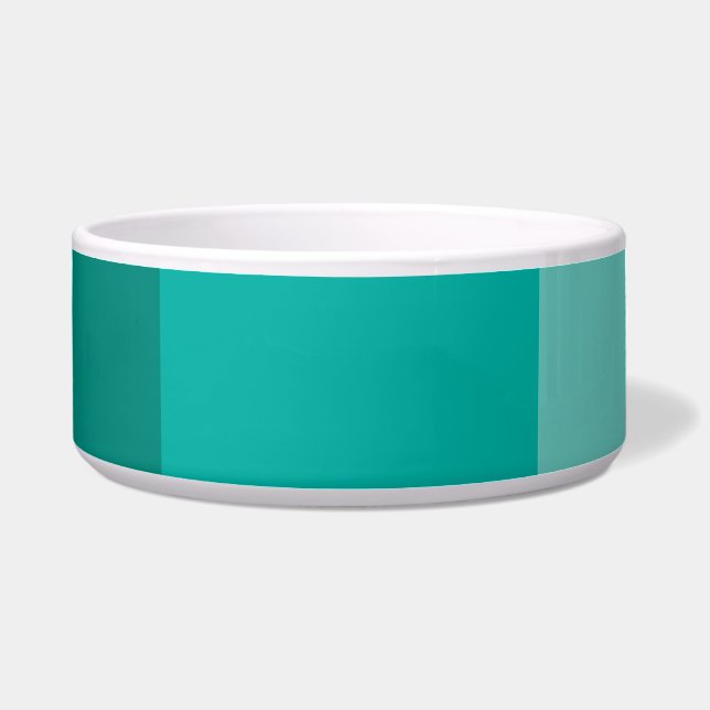 Écuelle Couleur vert turquoise (Devant)