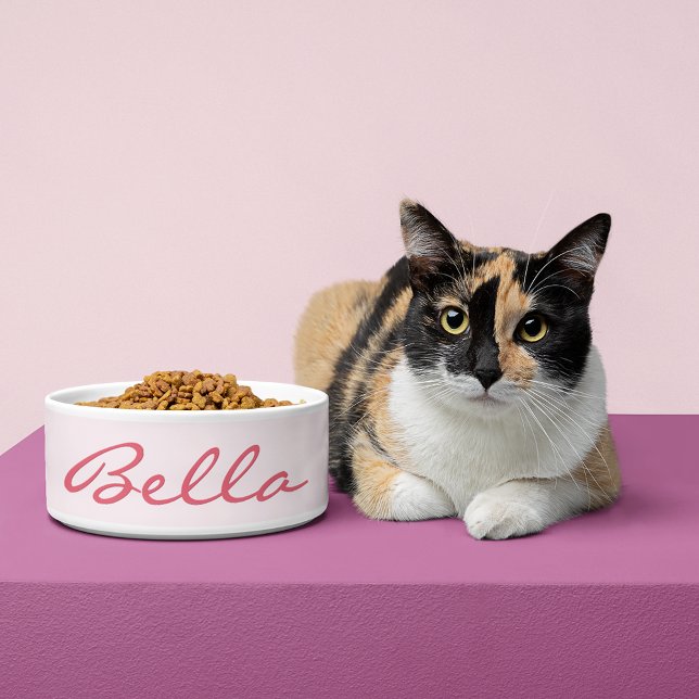 Écuelle Créer Personnalisé Animaux de Compagnie Kitten Cha (Create Custom Personalized Pet Kitten Cat Food Bowl)
