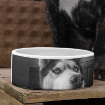 Custom Photo personnalisation chien chat plat anim