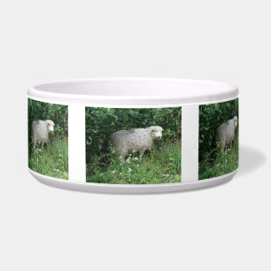 Écuelle Cute Blanc Fluffé Manger Pet Bowl