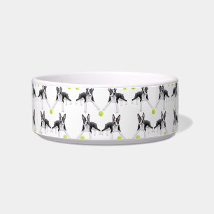 Écuelle Cuvette d'animal familier de balles de tennis
