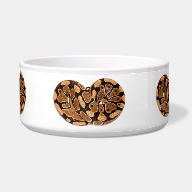 Écuelle Cuvette d'animal familier de python (Devant)