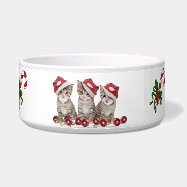 Écuelle Cuvette d'animal familier, Noël de cuvette de chat (Devant)
