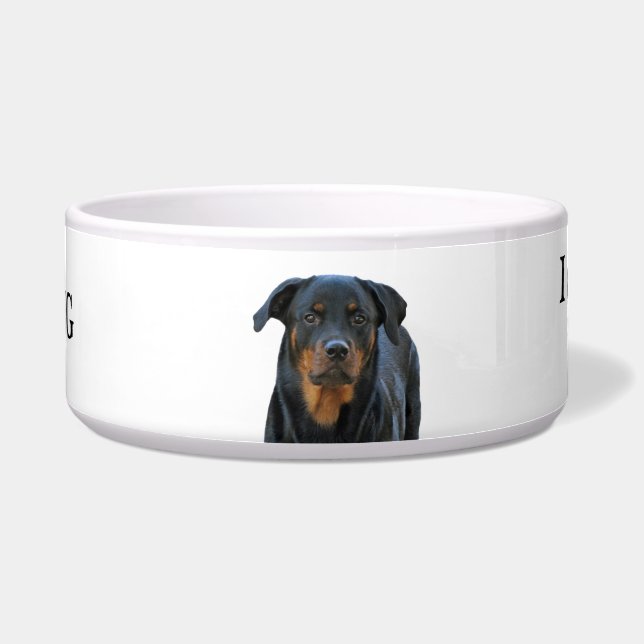 Écuelle Cuvette d'avertissement de chien de bave de (Devant)