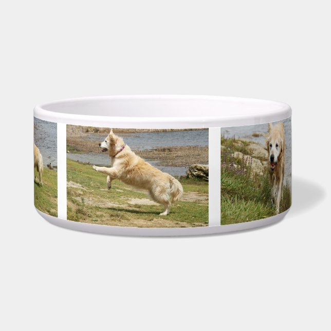 Écuelle Cuvette de chien de golden retriever (Droite)