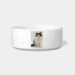 Écuelle Cuvette noire et blanche pelucheuse d'animal