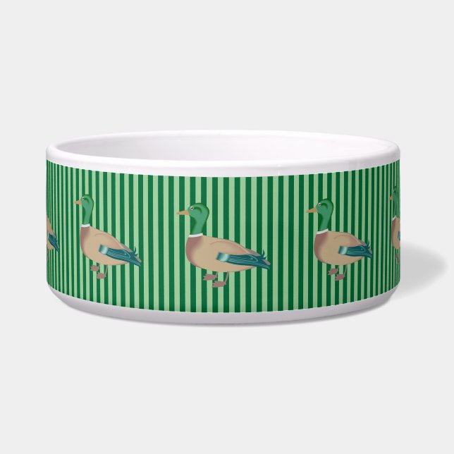 Écuelle Cuvette rayée verte de chien de canard (Devant)