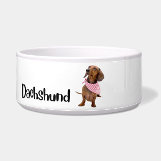 Écuelle Dachshund - bol de chien par race