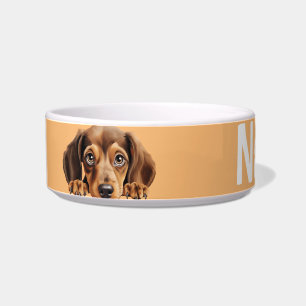 Écuelle Dachshund Chien Chien Chien Animaux Animaux