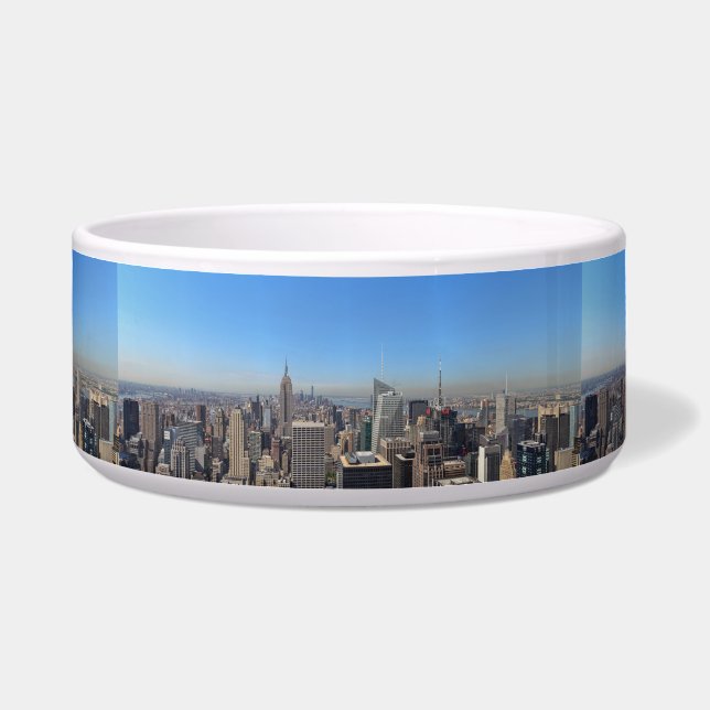 Écuelle Destinée De L'État De New York City Skyscrapers (Devant)