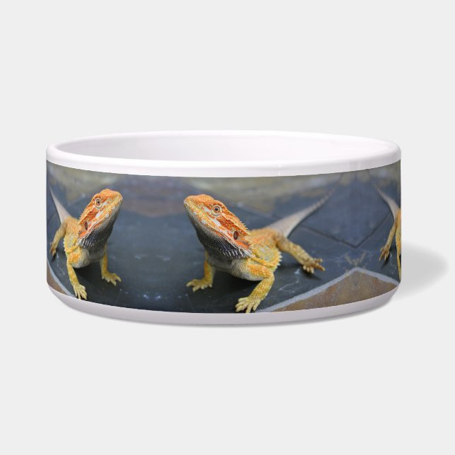 Écuelle Dragon Ceramic Pet Bowl, Tigre Arc-en-ciel (Gauche)
