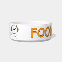 Du point de vue de Newton