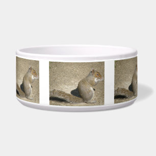 Écuelle Écureuil faim Horatio Chien Bowl