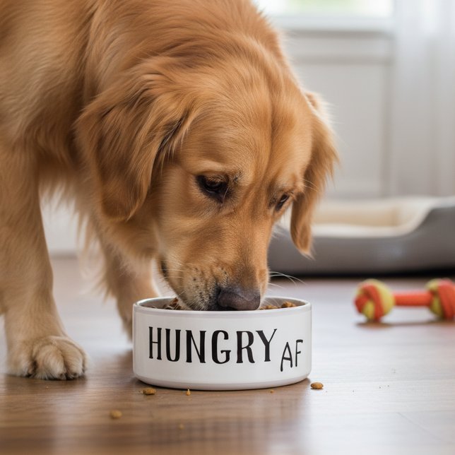Écuelle Faim AF drôle Humour chien animal chat (Créateur téléchargé)