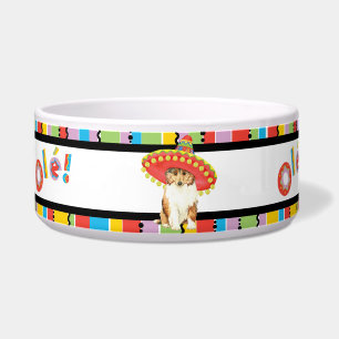 Écuelle Fiesta Collie Bowl