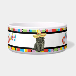 Écuelle Fiesta Newfoundland Pet Bowl
