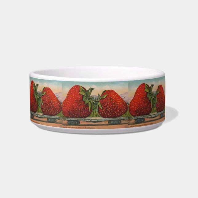 Écuelle Fraises Giant Fruit Antique Fruit Amusant (Gauche)