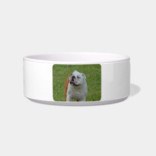 Écuelle Grand bouledogue