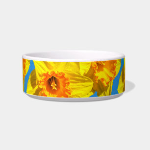 Écuelle Groupe de Daffodils Médaille d'or Fleurs
