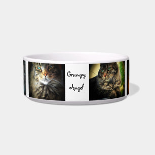 Écuelle Grumeux Ange Maine Coon Chat