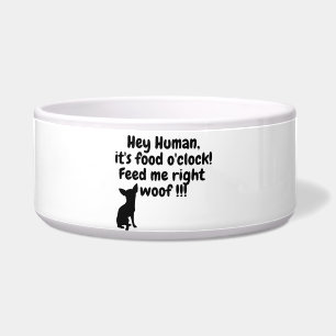 Écuelle Hé, Hooman ! C'est à midi ! Bowl à chien amusant