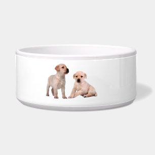 Écuelle Image de chien pour animaux de compagnie pour le g