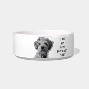 Écuelle Je suis VIP : Très important Chien, chien mignon