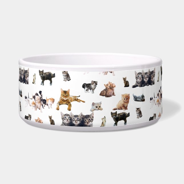 Écuelle Joli motif avec des photographies de chats et de c (Devant)