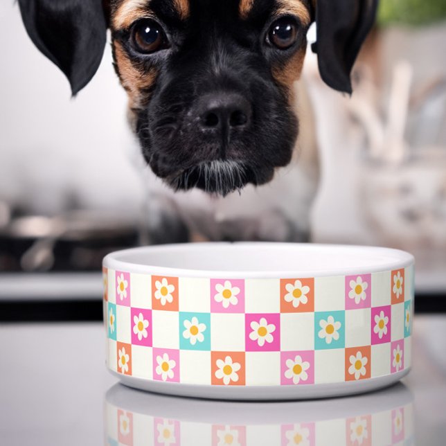Écuelle Jolie Daisy Damier Simple Coloré Animal de Compagn (Cute dog bowl with colorful daisy chequerboard pattern)