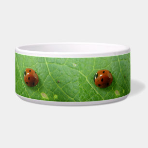Écuelle Ladybug Dog Bowl