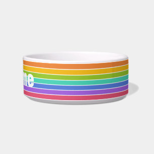 Écuelle L'arc-en-ciel colore les cuvettes faites sur