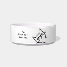 Le chat fâché n'a pas été alimenté !