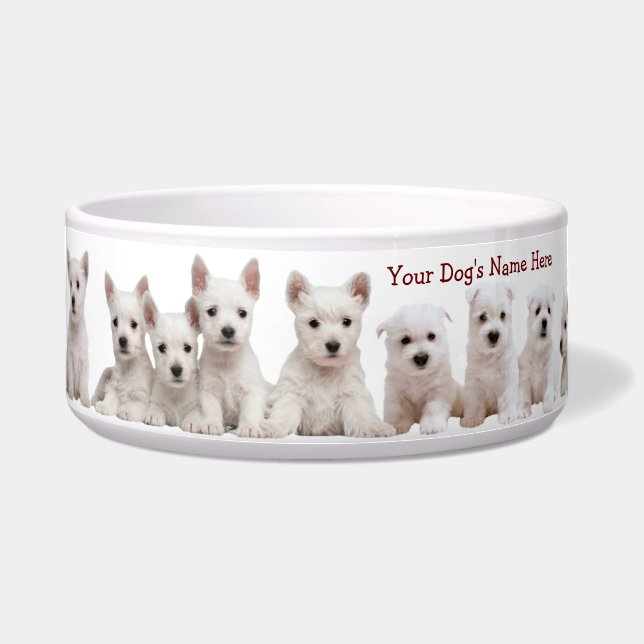 Écuelle Les Chiots En Attendent Patiemment Leur Nourriture (Devant)