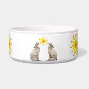 ÉCUELLE LES COYOOTS SE RETROUVENT AU-DELÀ D'UN SOLEIL DU S