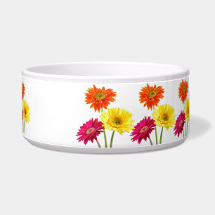 Écuelle Marguerites de Gerbera