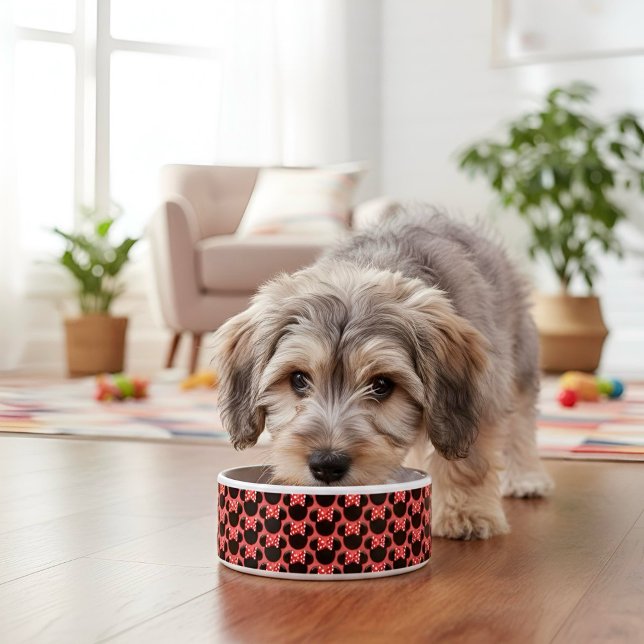 Écuelle Minni (Créateur téléchargé)