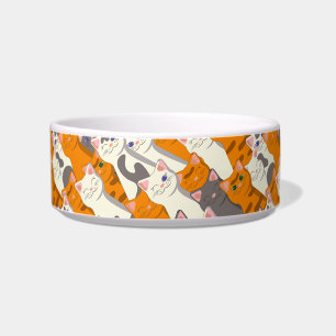 Écuelle Motif en diagonale du chat noir blanc gingembre