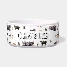 Motif personnalisé avec des photos de chats et de 