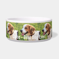 Nom personnalisé de photo de chien de beagle et de