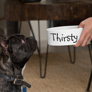 Écuelle Nourriture assoiffée humour drôle chien animal de